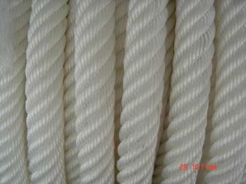 Pp Rope/Pe Rope/Atlas Rope